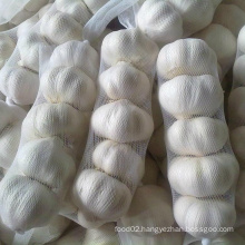 Sinofarm 2021 new crop China/Chinese Super White Garlic Fresh Garlic 10kgs for Uganda 4P, 5P produced by exporters in China